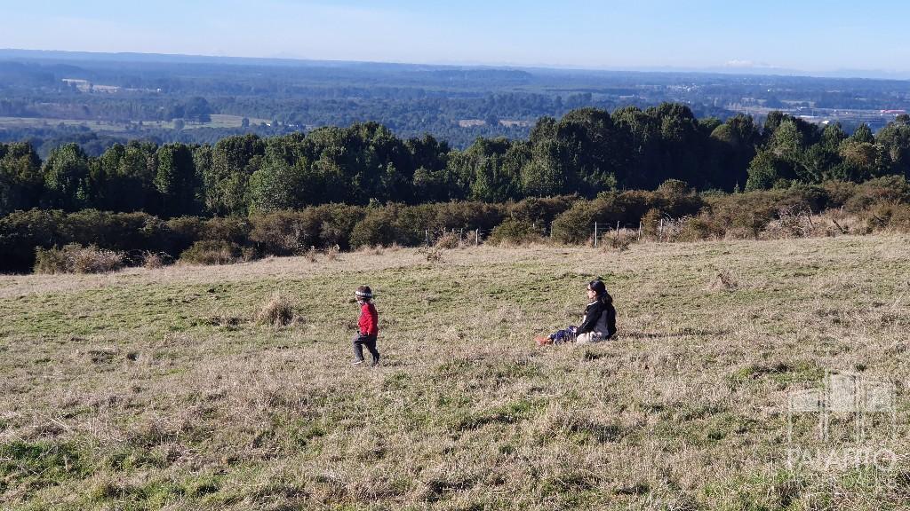 Precio de Lanzamiento Condominio Pid Pid III etapa