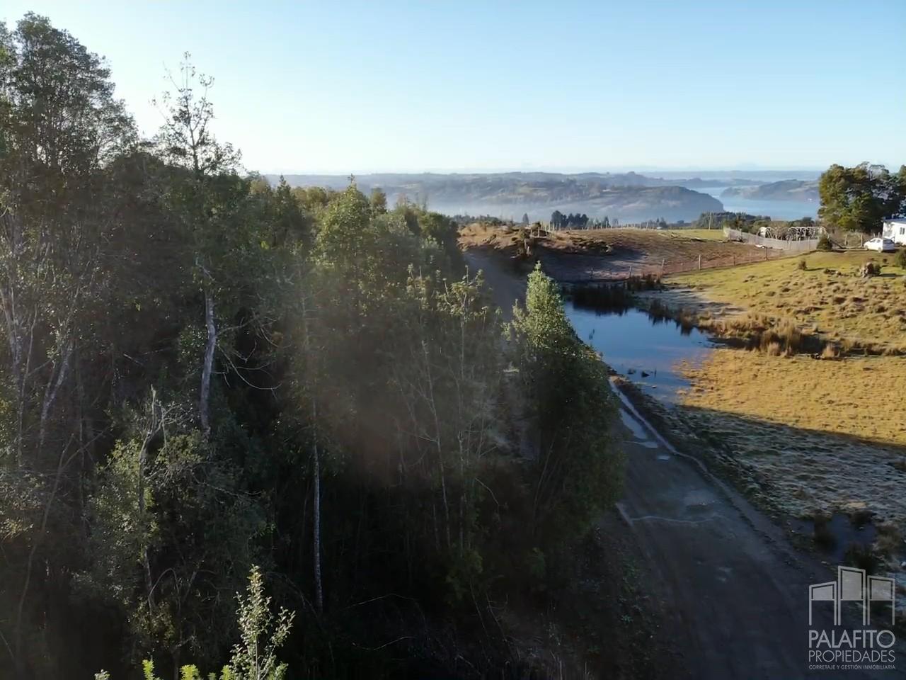 Terreno de 1 ha con bosque nativo, Castro, sector Llicaldad. 